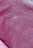 Purple taffeta (Ref T55)